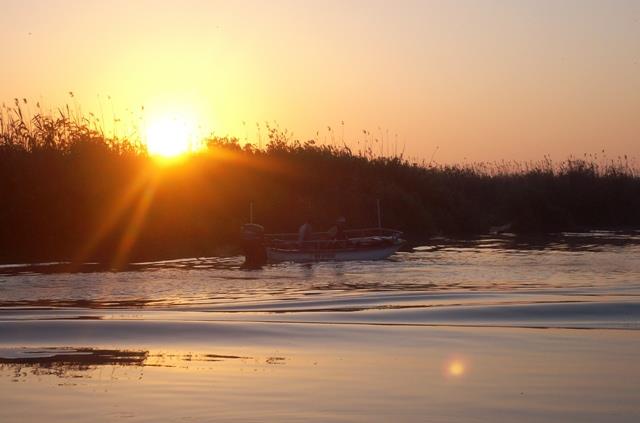 Doar ...  NATURA - sany6800.JPG